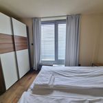 Rent 3 bedroom apartment of 190 m² in Praha