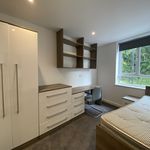 Rent 3 bedroom apartment in Southampton
