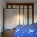 Rent 2 bedroom apartment of 90 m² in Triest