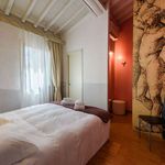 Rent 1 bedroom apartment in Firenze