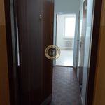 Rent 1 bedroom apartment of 26 m² in Pardubice