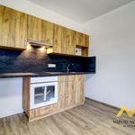 Rent 1 bedroom apartment of 40 m² in Smiřice