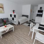 Rent 1 bedroom apartment of 30 m² in Bonn