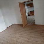 Rent 1 bedroom apartment of 67 m² in Chrastava