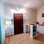 Rent 1 bedroom apartment of 30 m² in Cuorgnè