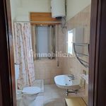 Rent 3 bedroom apartment of 80 m² in Balestrate