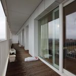 Rent a room of 130 m² in Evere