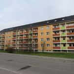 Rent 2 bedroom apartment in Gornsdorf