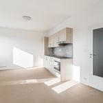 Rent 2 bedroom apartment of 41 m² in Plzeň