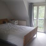 Rent 3 bedroom house of 600 m² in La Hulpe