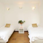 Rent 6 bedroom house in Maastricht
