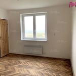 Rent 3 bedroom apartment of 63 m² in Zdobnice