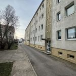 Rent 1 bedroom apartment of 55 m² in Teutschenthal