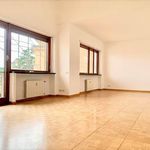 Rent 5 bedroom apartment of 170 m² in Roma