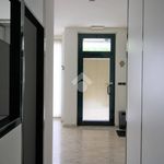 Rent 3 bedroom apartment of 97 m² in Pescara