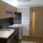Rent 2 bedroom apartment of 56 m² in Cesky Krumlov