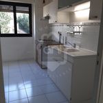 Rent 1 bedroom apartment of 58 m² in Avignon