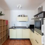 Rent 4 bedroom apartment of 90 m² in Praha