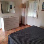 Rent 2 bedroom apartment of 45 m² in Spello