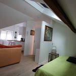 Appartement de 20 m² avec 1 chambre(s) en location à Épinal