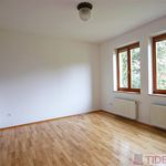 Rent 1 bedroom house of 400 m² in Prague
