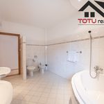 Rent 1 bedroom house of 224 m² in Trutnov
