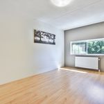 Rent 4 bedroom house of 134 m² in Amsterdam