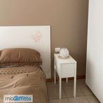 Rent 2 bedroom apartment of 55 m² in Cinisello Balsamo