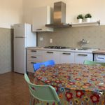 Rent 1 bedroom house of 20 m² in Florence