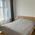 Rent 2 bedroom apartment of 51 m² in München