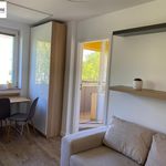 Rent 2 bedroom apartment of 36 m² in Zabrze