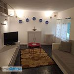 Rent 3 bedroom house of 90 m² in Marina di Pisa-Tirrenia-Calambrone