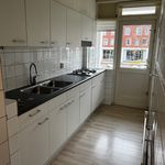 Rent a room of 72 m² in Arnhem