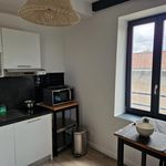 Rent 2 bedroom apartment of 36 m² in Écully