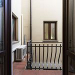 Rent 1 bedroom apartment of 50 m² in Firenze