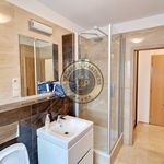 Rent 2 bedroom apartment of 50 m² in Píšťany