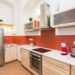 Rent 1 bedroom apartment of 70 m² in Plzeň