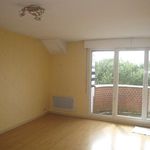 Rent 3 bedroom apartment of 61 m² in Lille