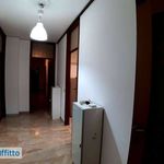 Rent 4 bedroom apartment of 135 m² in Novi di Modena
