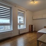 Rent 3 bedroom apartment of 60 m² in Kielce