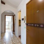 Rent a room of 80 m² in Cologno Monzese