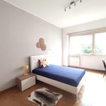 Rent 1 bedroom apartment of 17 m² in Roma