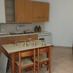 Rent 3 bedroom apartment of 80 m² in Adria