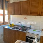Rent 3 bedroom apartment of 100 m² in Diano Marina