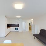 Rent 3 bedroom apartment of 64 m² in Mendrisio