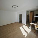 Rent 1 bedroom apartment of 40 m² in Wien