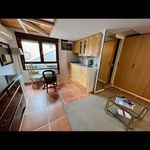 Rent 1 bedroom house of 45 m² in Madrid