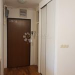 Najam 4 spavaće sobe stan od 152 m² u Zagreb