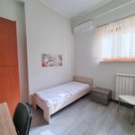 Affitto 2 camera appartamento di 55 m² in Catanzaro