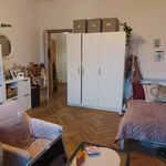 Rent a room of 58 m² in Cracow